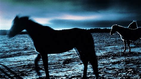 sky horses abc - google search|Google.